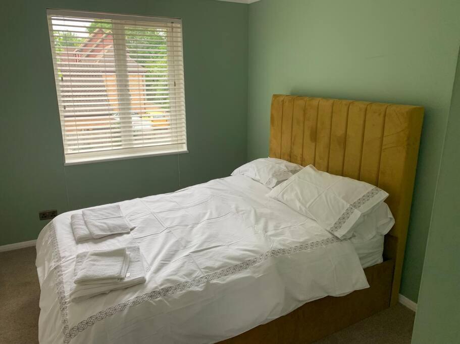 Cosy One Bed Flat Free Parking Lägenhet Send Exteriör bild